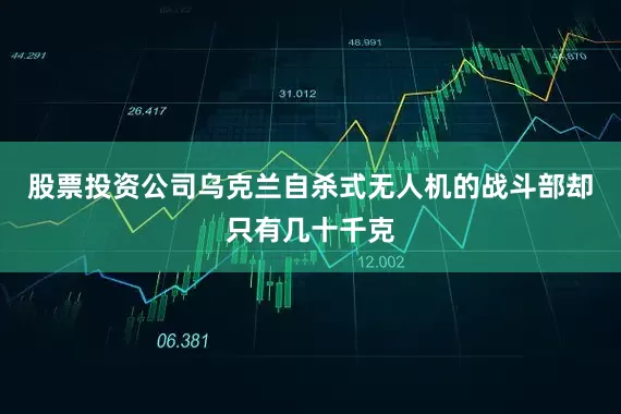 股票投资公司乌克兰自杀式无人机的战斗部却只有几十千克