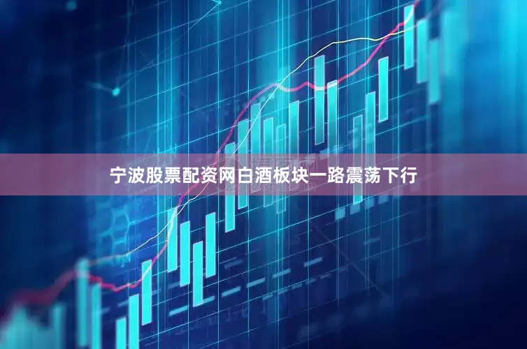 宁波股票配资网白酒板块一路震荡下行